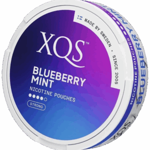 XQS Blueberry Mint